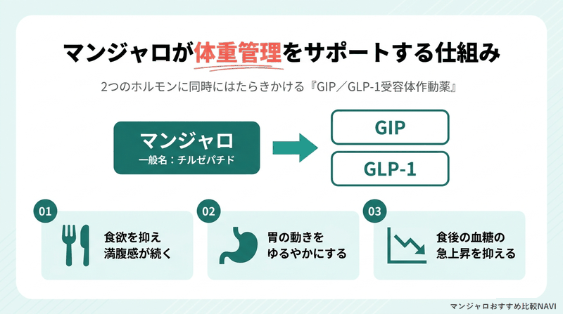 マンジャロがGIPとGLP-1の2つのホルモンに作用して食欲を抑える仕組みの図解