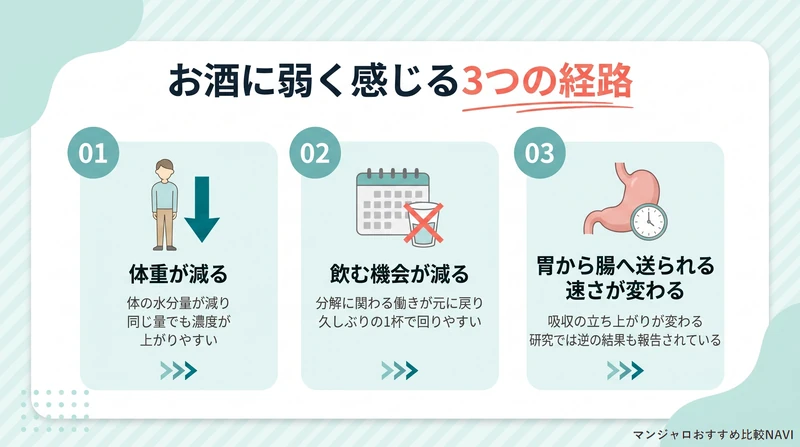 マンジャロ使用中にお酒に弱く感じる3つの経路と酔いにくく感じる場合を整理した図