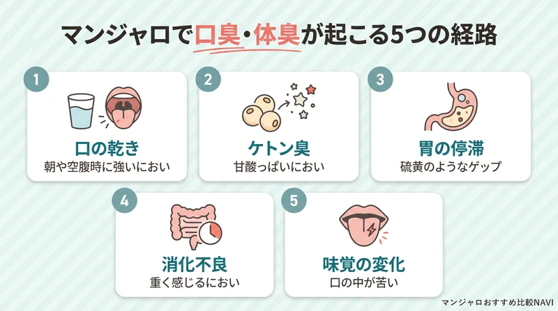 マンジャロで口臭・体臭が起こる5つの経路とにおいの特徴をまとめた図