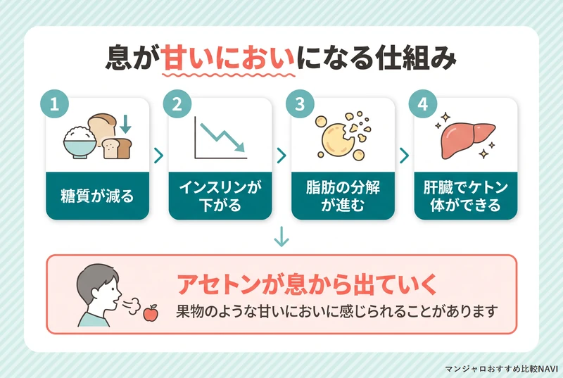 糖質の減少からアセトンが息に出るまでのケトン臭の仕組みを示した図