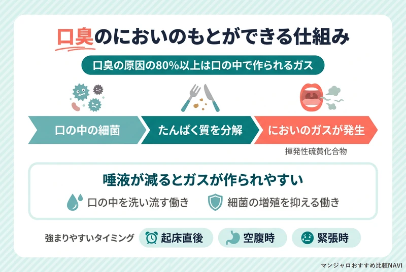 口臭のもとになる揮発性硫黄化合物ができる仕組みと唾液の働きを示した図